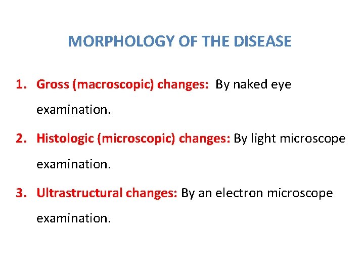 MORPHOLOGY OF THE DISEASE 1. Gross (macroscopic) changes: By naked eye examination. 2. Histologic