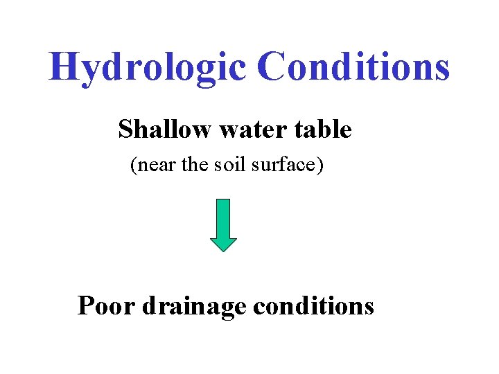 Hydrologic Conditions Shallow water table (near the soil surface) Poor drainage conditions 