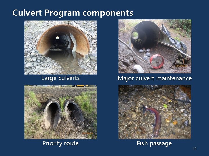 Culvert Program components Large culverts Major culvert maintenance Priority route Fish passage 19 