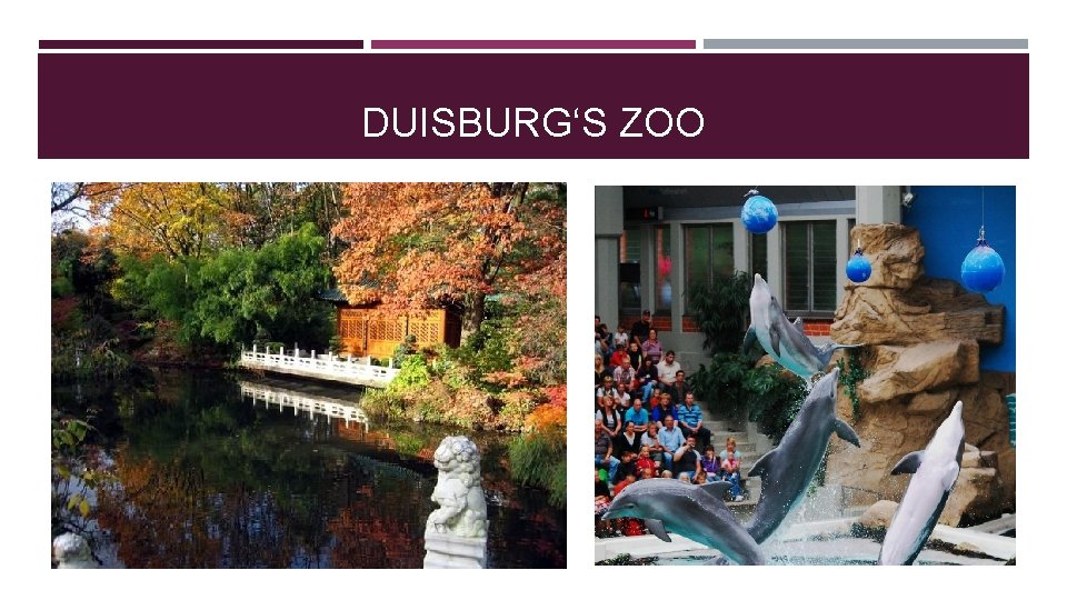 DUISBURG‘S ZOO 