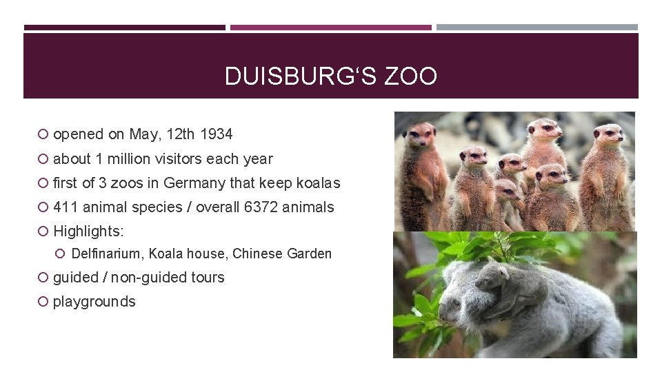 DUISBURG‘S ZOO opened on May, 12 th 1934 about 1 million visitors each year