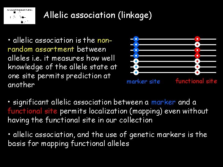 Allelic association (linkage) • allelic association is the nonrandom assortment between alleles i. e.