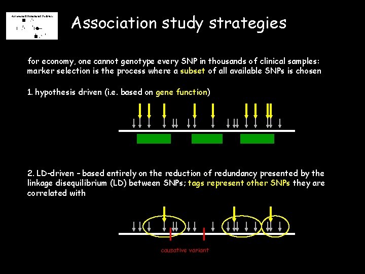 Association study strategies for economy, one cannot genotype every SNP in thousands of clinical