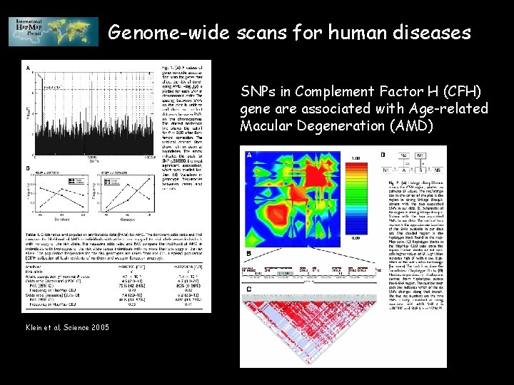 Genome-wide scans for human diseases SNPs in Complement Factor H (CFH) gene are associated