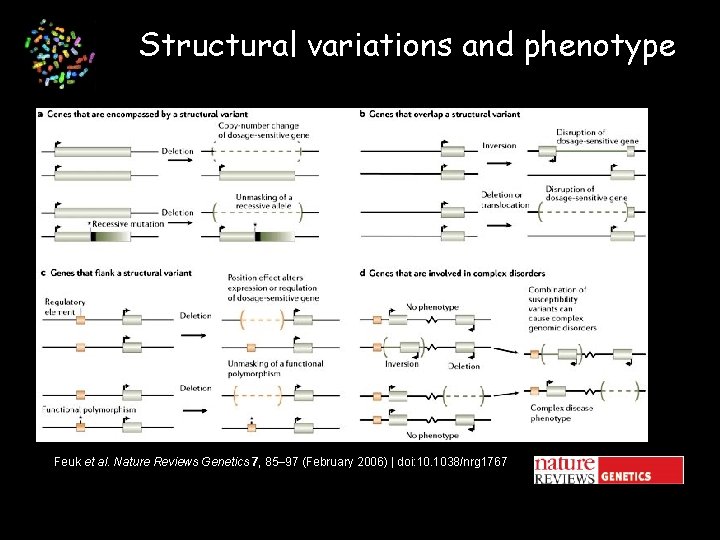 Structural variations and phenotype Feuk et al. Nature Reviews Genetics 7, 85– 97 (February