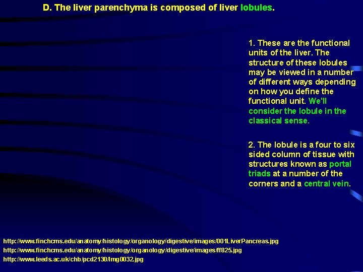 D. The liver parenchyma is composed of liver lobules. 1. These are the functional