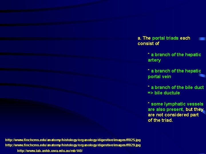 a. The portal triads each consist of * a branch of the hepatic artery