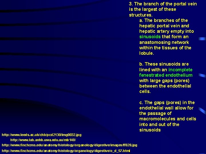 3. The branch of the portal vein is the largest of these structures. a.