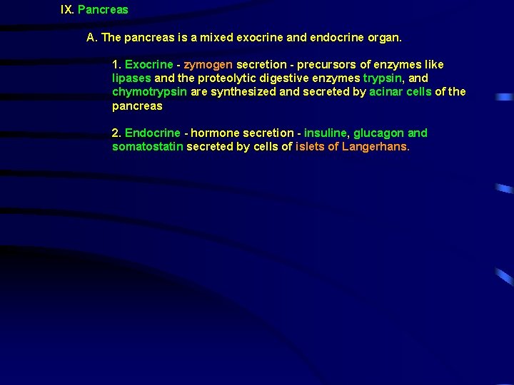 IX. Pancreas A. The pancreas is a mixed exocrine and endocrine organ. 1. Exocrine