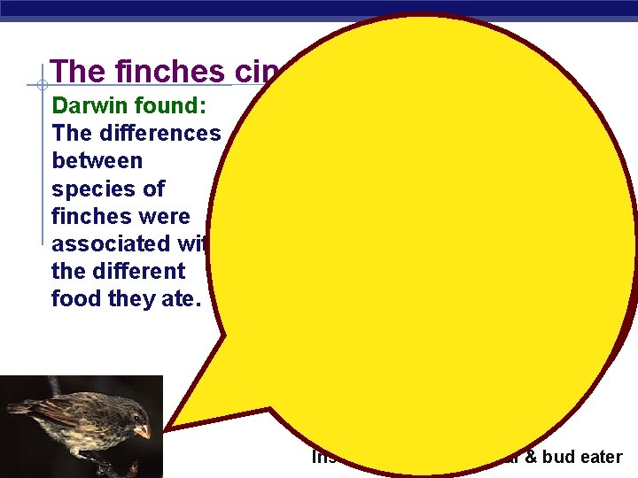 The finches cinched it! Darwin found: The differences between species of finches were associated