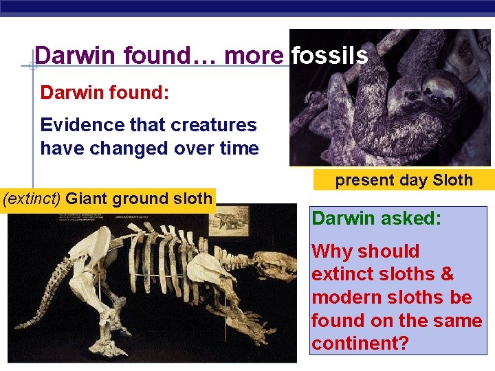 Darwin found… more fossils Darwin found: Evidence that creatures have changed over time present
