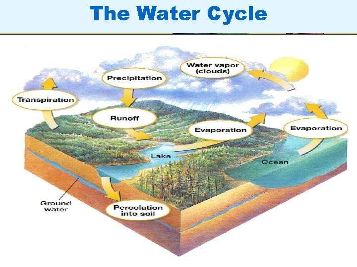 The Water Cycle The Water Cycle