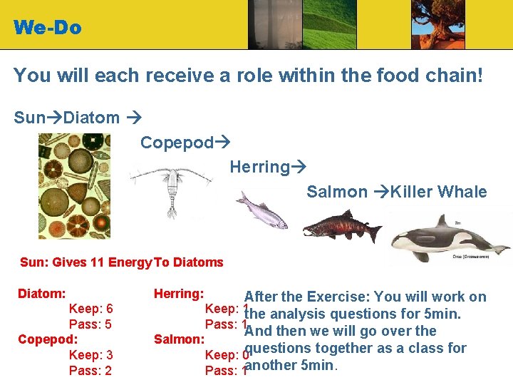 We-Do You will each receive a role within the food chain! Sun Diatom Copepod