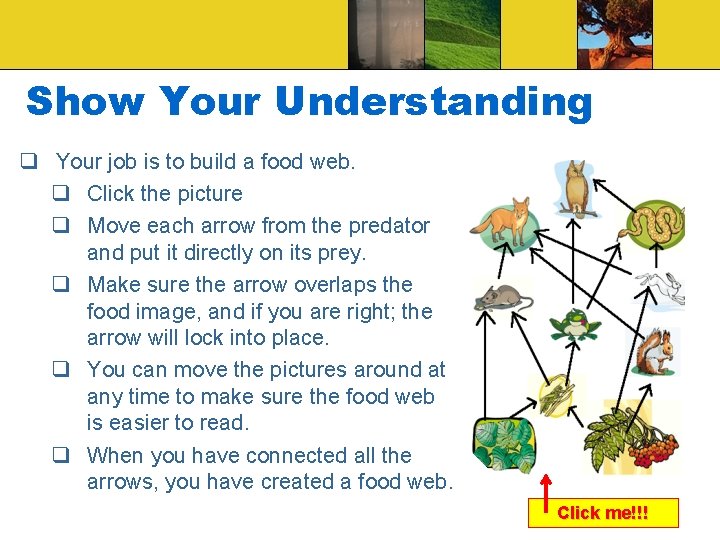 Show Your Understanding q Your job is to build a food web. q Click