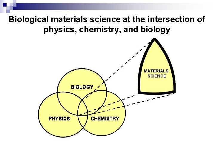 Biological materials science at the intersection of physics, chemistry, and biology 