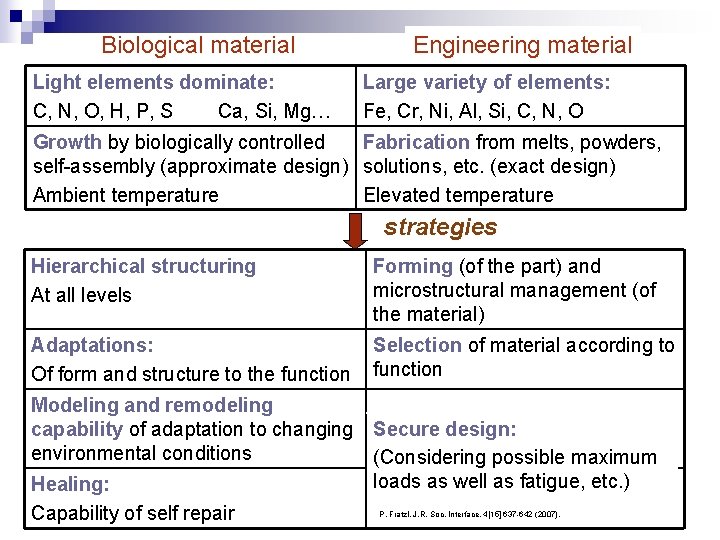 Biological material Light elements dominate: C, N, O, H, P, S Ca, Si, Mg…