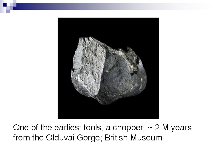 One of the earliest tools, a chopper, ~ 2 M years from the Olduvai