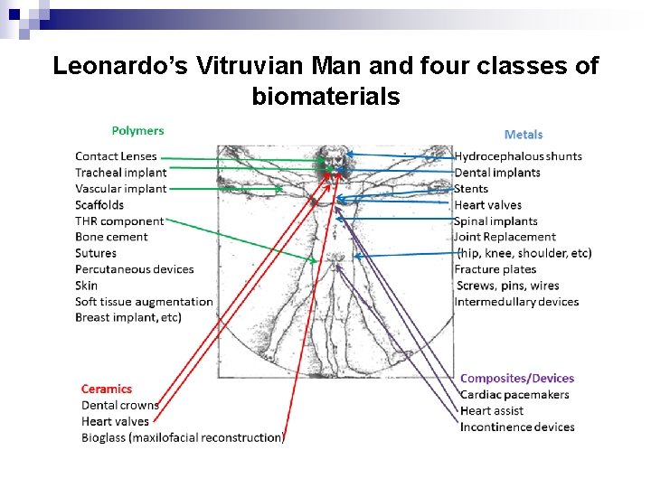 Leonardo’s Vitruvian Man and four classes of biomaterials 