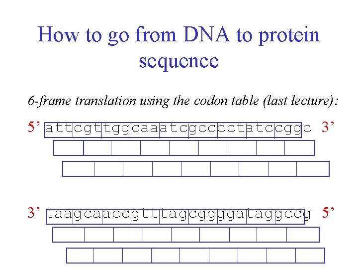 How to go from DNA to protein sequence 6 -frame translation using the codon