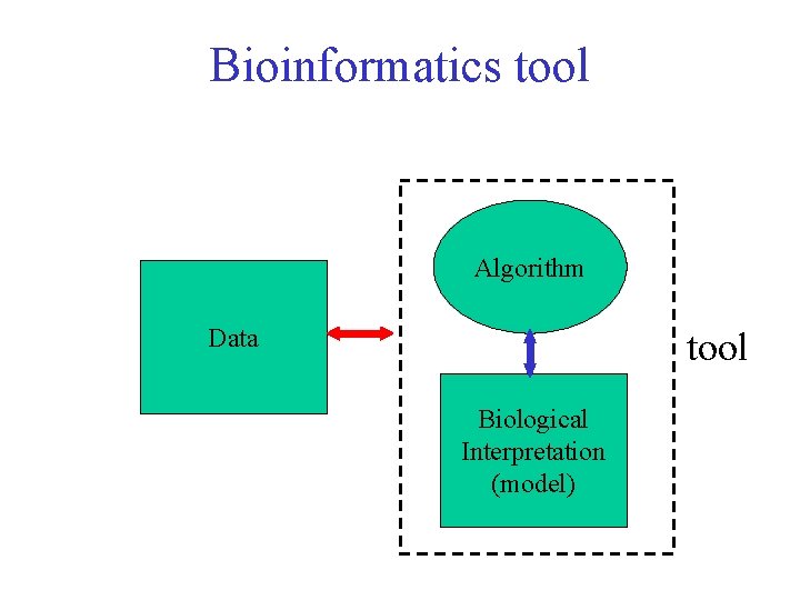 Bioinformatics tool Algorithm Data tool Biological Interpretation (model) 