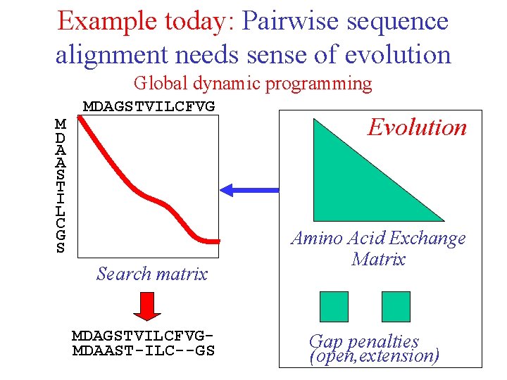 Example today: Pairwise sequence alignment needs sense of evolution Global dynamic programming M D