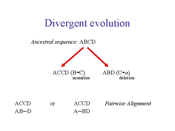 Divergent evolution Ancestral sequence: ABCD ACCD (B C) mutation ACCD AB─D or ACCD A─BD