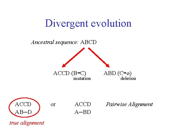 Divergent evolution Ancestral sequence: ABCD ACCD (B C) mutation ACCD AB─D true alignment or