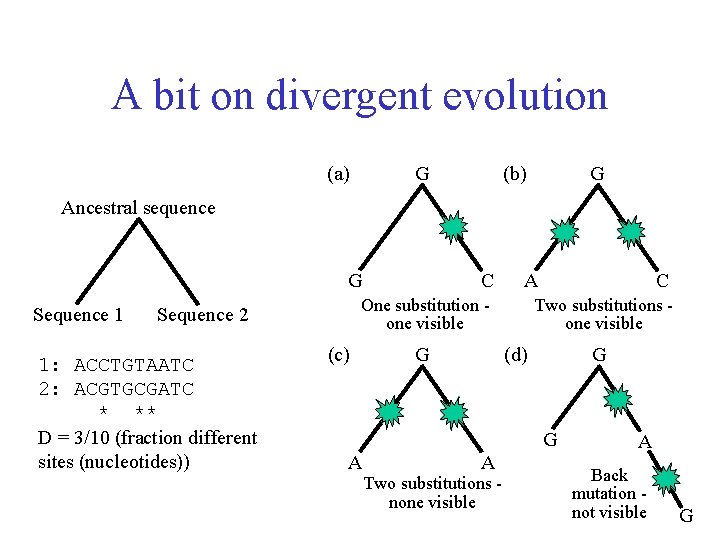 A bit on divergent evolution (a) G (b) G Ancestral sequence G Sequence 1