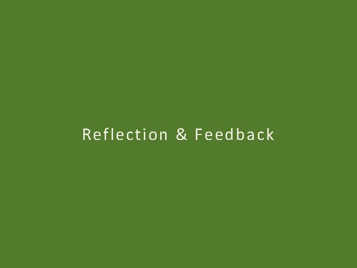 Reflection & Feedback 