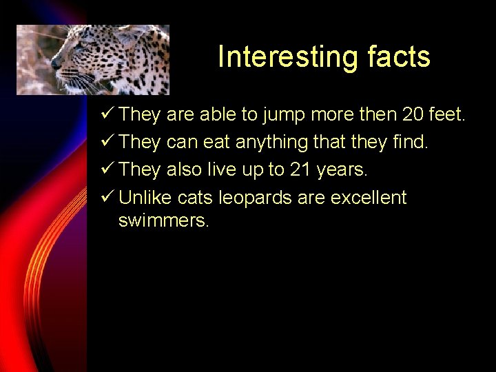 Interesting facts ü They are able to jump more then 20 feet. ü They