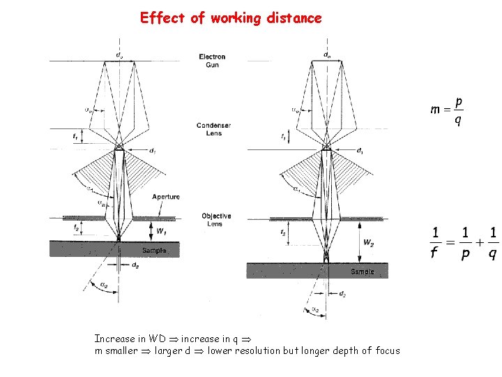 Effect of working distance Increase in WD increase in q m smaller larger d