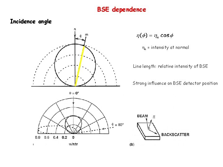 BSE dependence Incidence angle n = intensity at normal Line length: relative intensity of