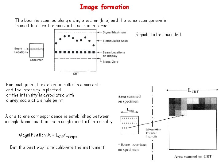 Image formation The beam is scanned along a single vector (line) and the same