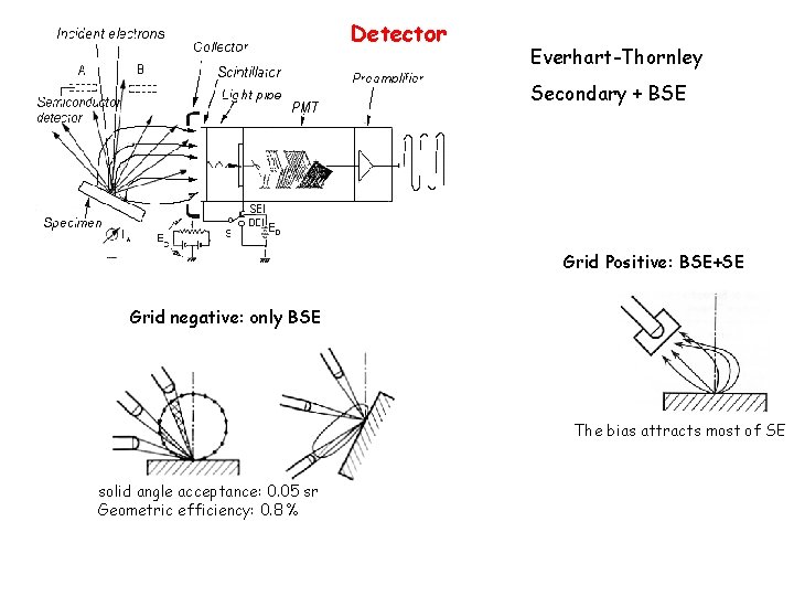 Detector Everhart-Thornley Secondary + BSE Grid Positive: BSE+SE Grid negative: only BSE The bias