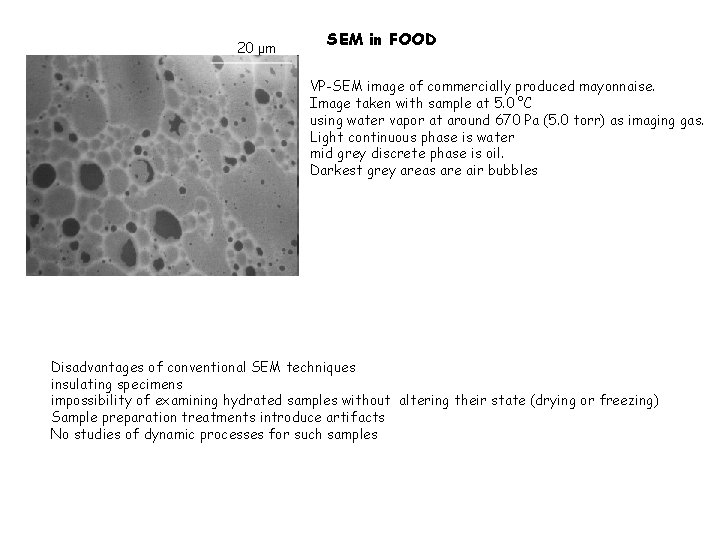 20 μm SEM in FOOD VP-SEM image of commercially produced mayonnaise. Image taken with
