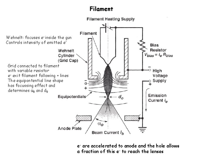 Filament Wehnelt: focuses e- inside the gun Controls intensity of emitted e- Grid connected