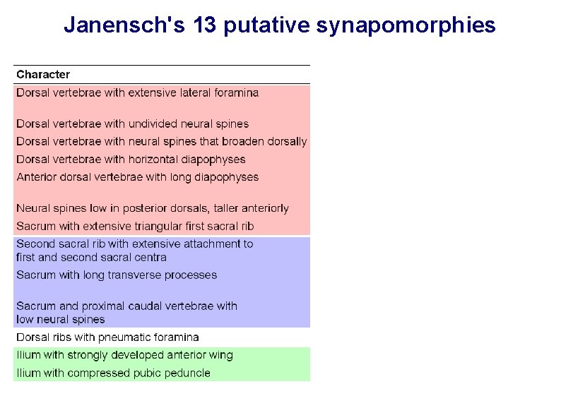 Janensch's 13 putative synapomorphies 