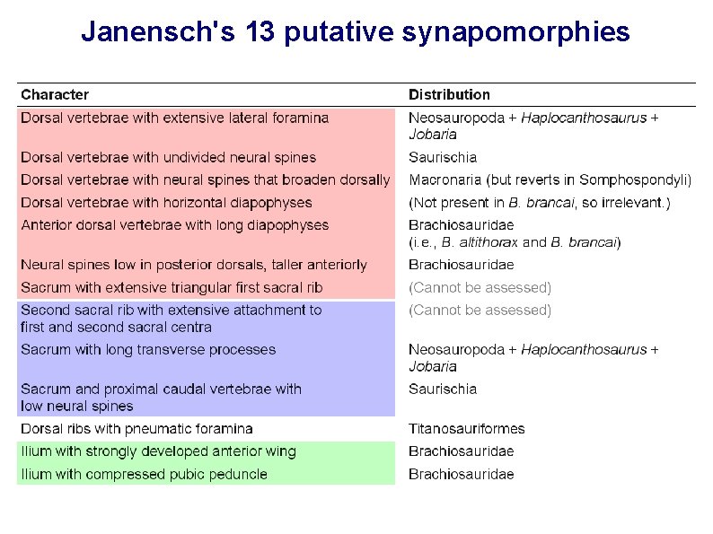 Janensch's 13 putative synapomorphies 