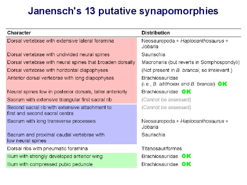 Janensch's 13 putative synapomorphies OK OK 