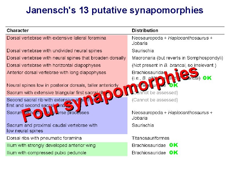 Janensch's 13 putative synapomorphies s e i h p r o m o p