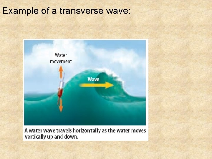 Example of a transverse wave: 