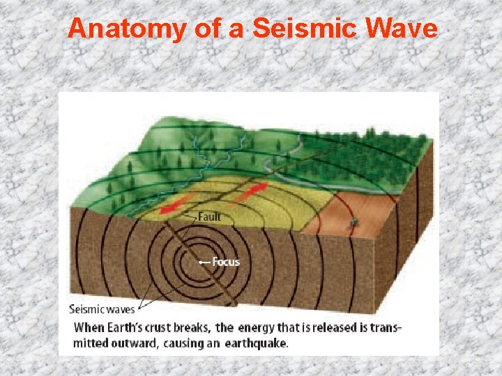 Anatomy of a Seismic Wave 