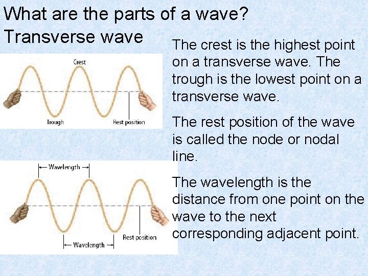 What are the parts of a wave? Transverse wave The crest is the highest
