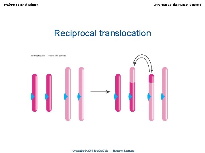 Biology, Seventh Edition CHAPTER 15 The Human Genome Reciprocal translocation Copyright © 2005 Brooks/Cole