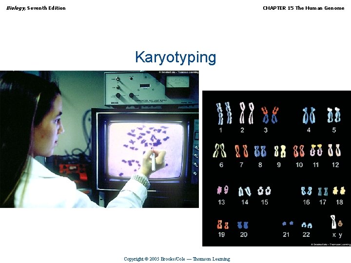 Biology, Seventh Edition CHAPTER 15 The Human Genome Karyotyping Copyright © 2005 Brooks/Cole —