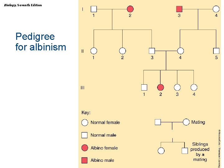 Biology, Seventh Edition CHAPTER 15 The Human Genome Pedigree for albinism Copyright © 2005