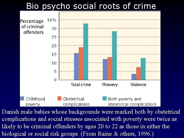 Bio psycho social roots of crime Danish male babies whose backgrounds were marked both