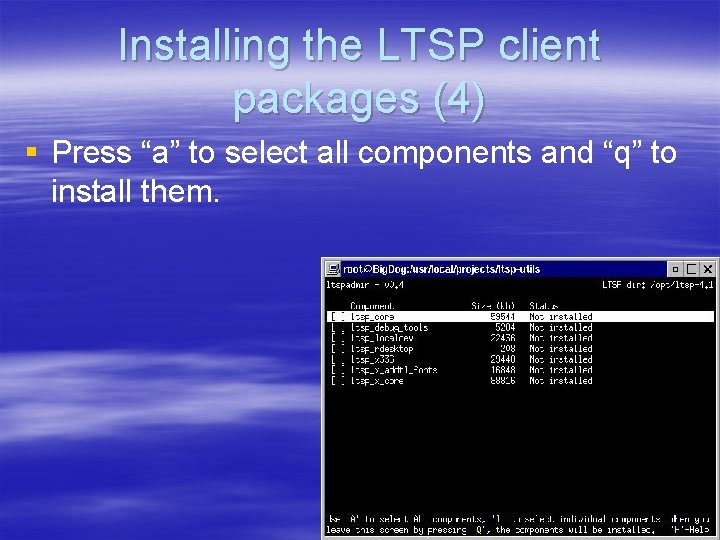 Installing the LTSP client packages (4) § Press “a” to select all components and