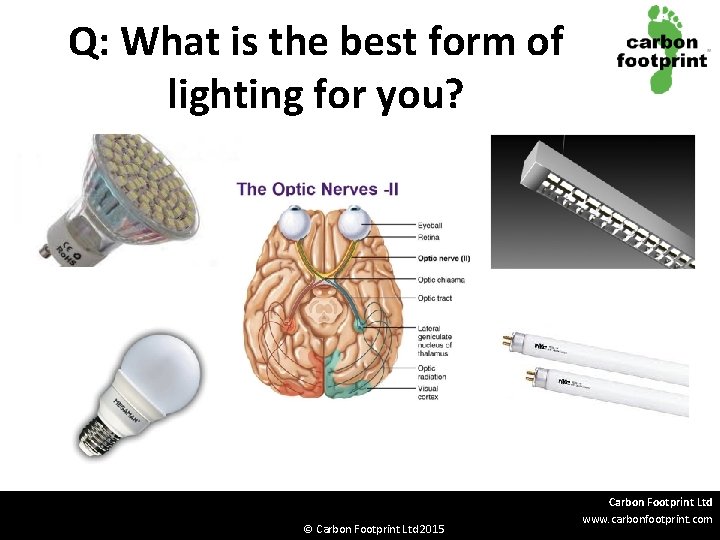 Q: What is the best form of lighting for you? © Carbon Footprint Ltd