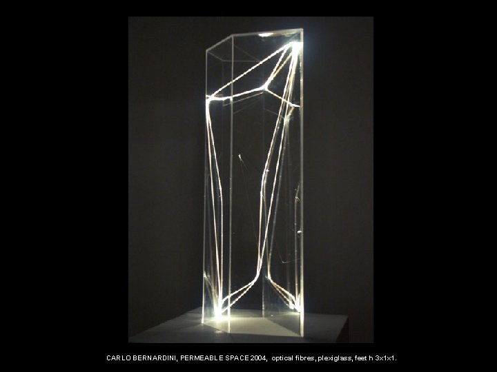 CARLO BERNARDINI, PERMEABLE SPACE 2004, optical fibres, plexiglass, feet h 3 x 1 x